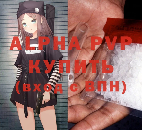 индика Каменка