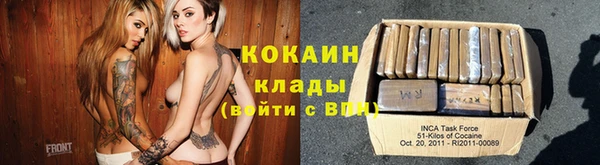 индика Каменка