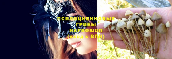 индика Каменка