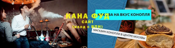 индика Каменка