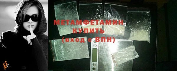 индика Каменка
