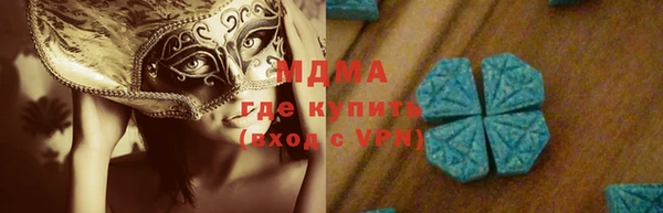 индика Каменка
