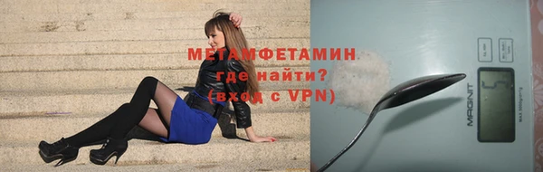 индика Каменка