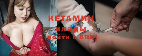 индика Каменка