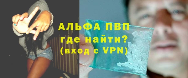 гидра Каменногорск
