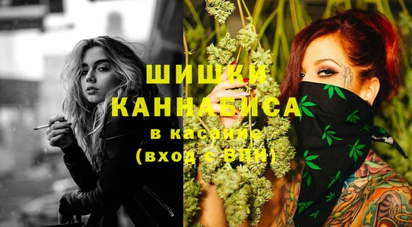 индика Каменка