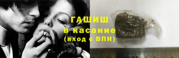 гидра Каменногорск
