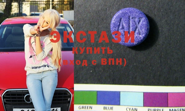 индика Каменка
