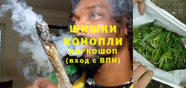 гидра Каменногорск