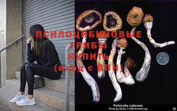 амф Каменск-Шахтинский