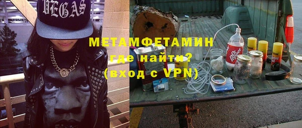 индика Каменка