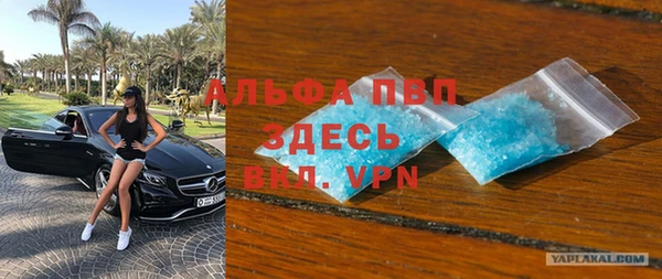 гидра Каменногорск