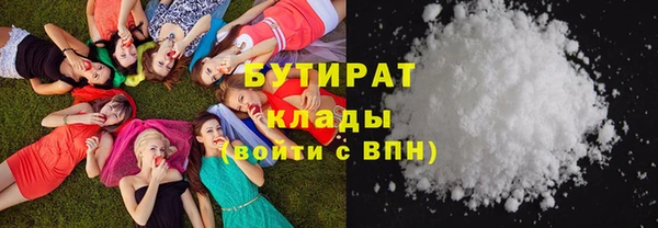 индика Каменка