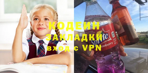 гидра Каменногорск