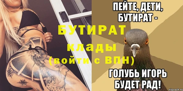 индика Каменка