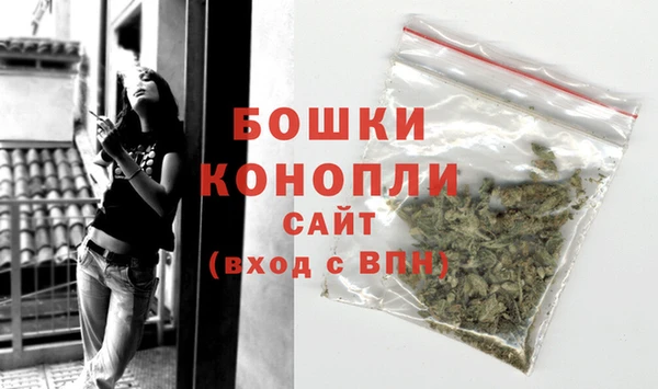 индика Каменка