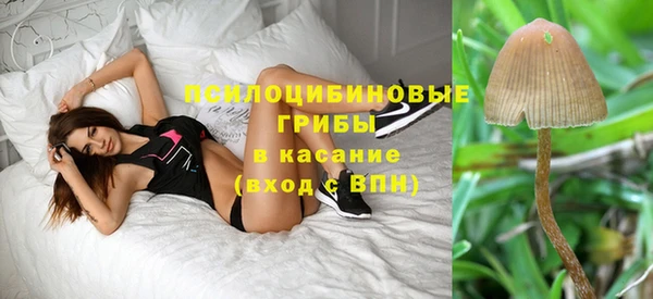 твердый Заволжск