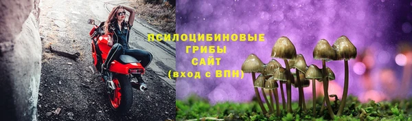 гидра Каменногорск