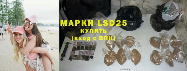 гидра Каменногорск