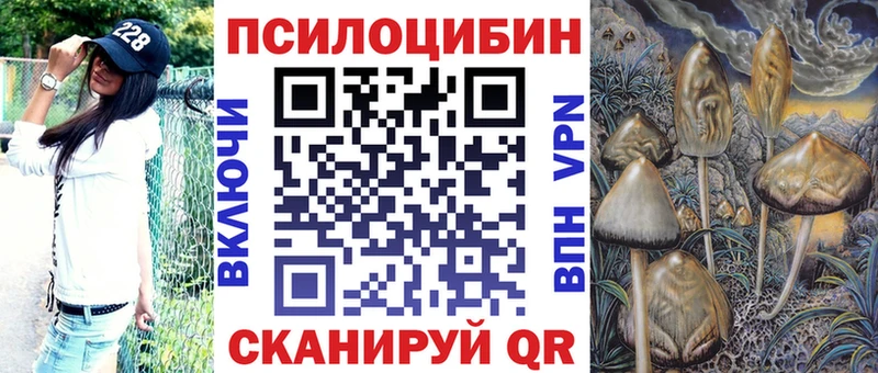 Купить где  Саяногорск  Псилоцибиновые грибы Psilocybe 