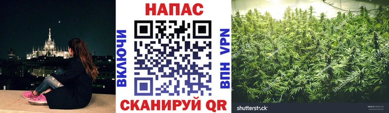 Бошки марихуана тримм Саяногорск